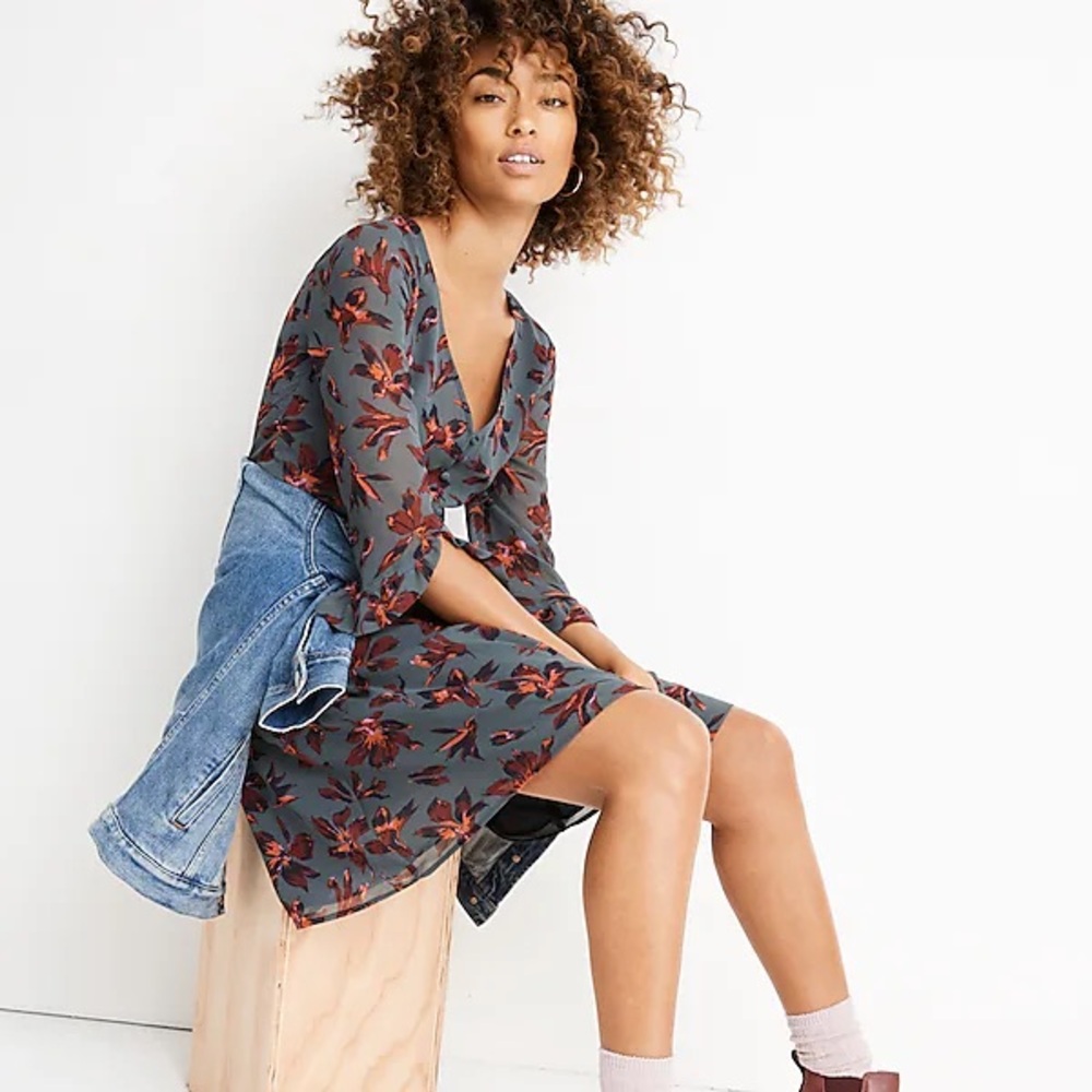 Madewell Moonblossom Blue Burgundy Floral Ruffle-Sleeve V-Neck Button Dress 2